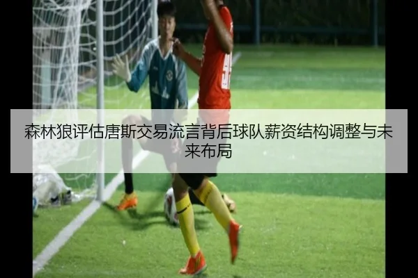 森林狼评估唐斯交易流言背后球队薪资结构调整与未来布局