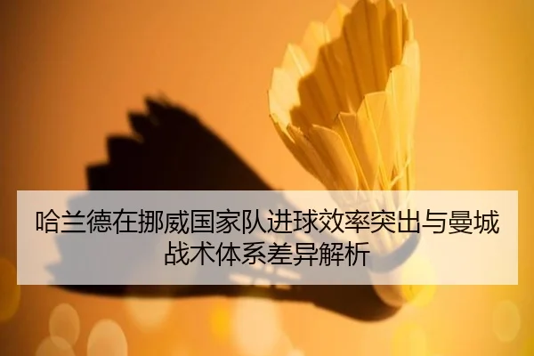 哈兰德在挪威国家队进球效率突出与曼城战术体系差异解析