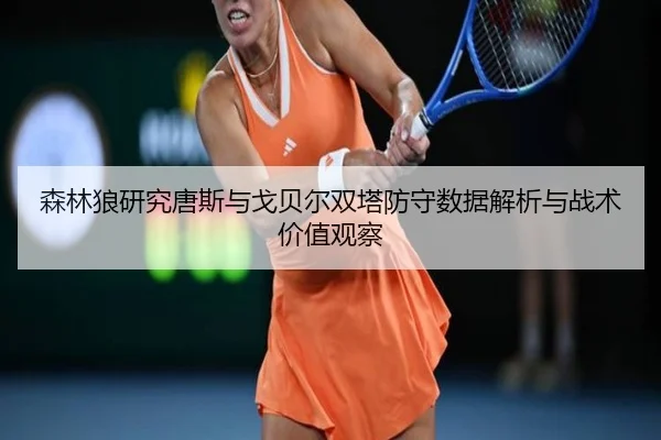 森林狼研究唐斯与戈贝尔双塔防守数据解析与战术价值观察