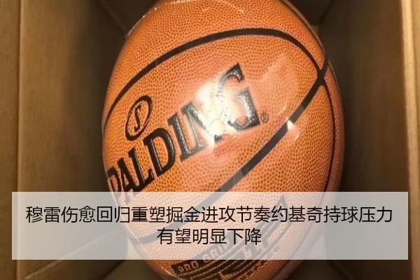 穆雷伤愈回归重塑掘金进攻节奏约基奇持球压力有望明显下降
